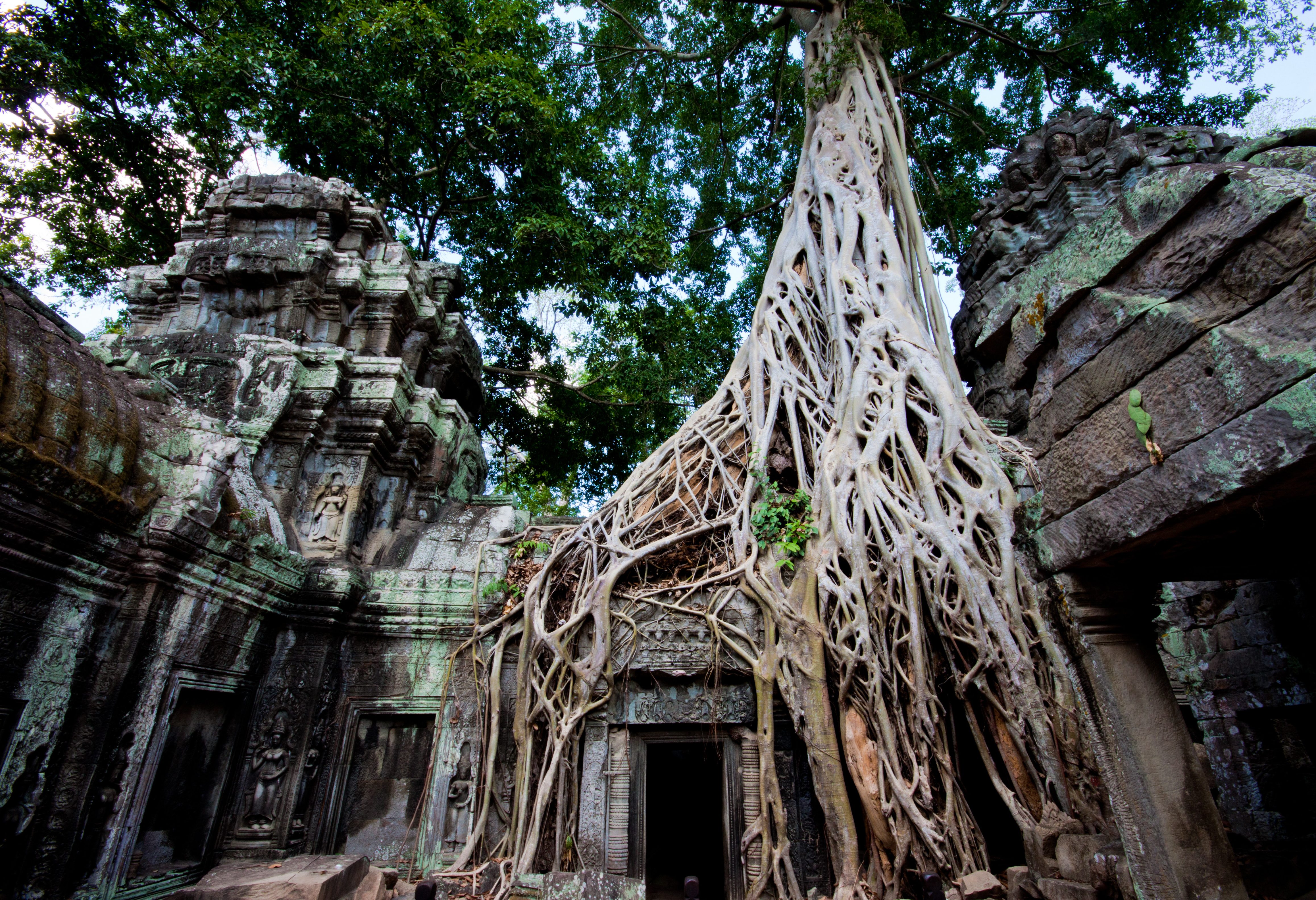 Ta Prohm in het Angkor tempelcomplex in Cambodja