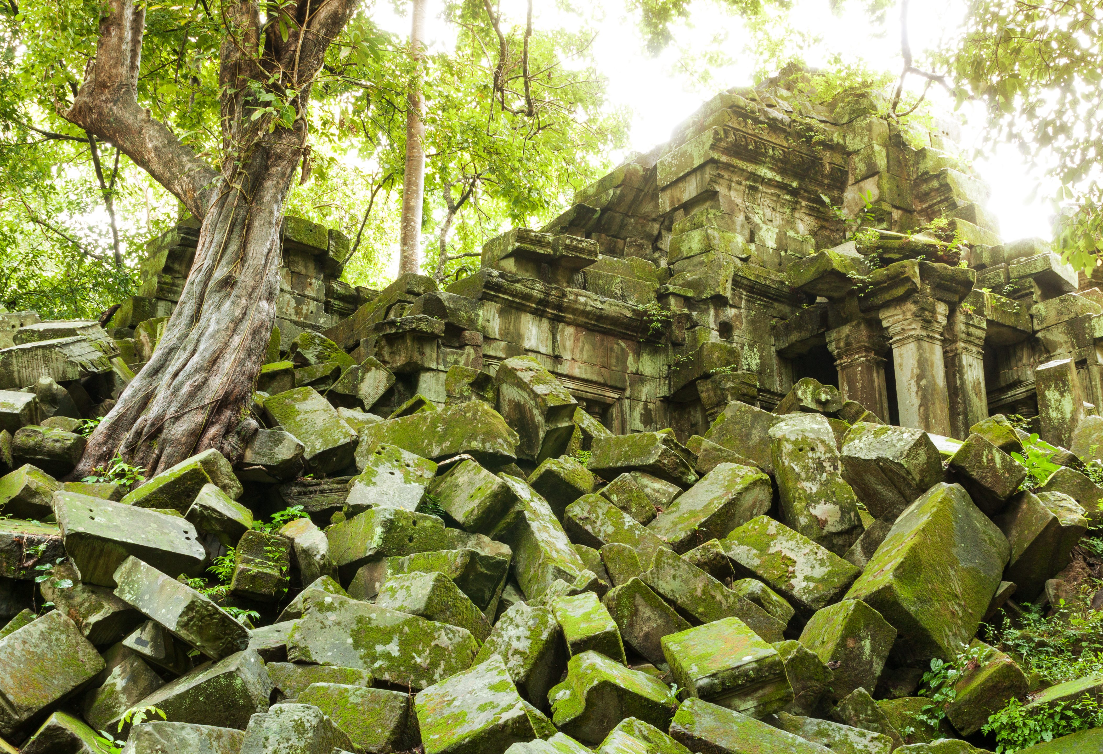 Beng Mealea in het Angkor tempelcomplex in Cambodja
