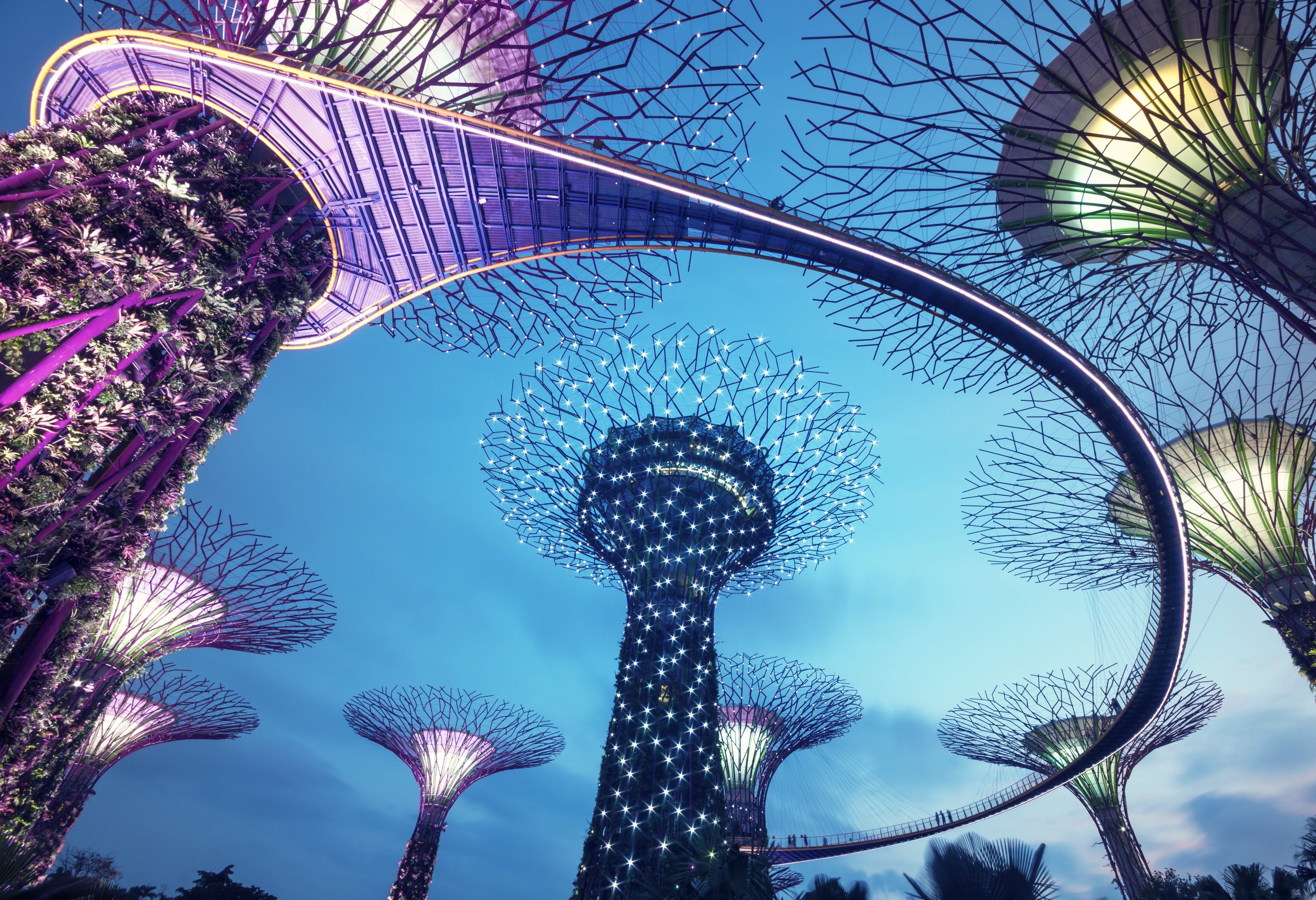 Superbomen Gardens by the Bay Singapore