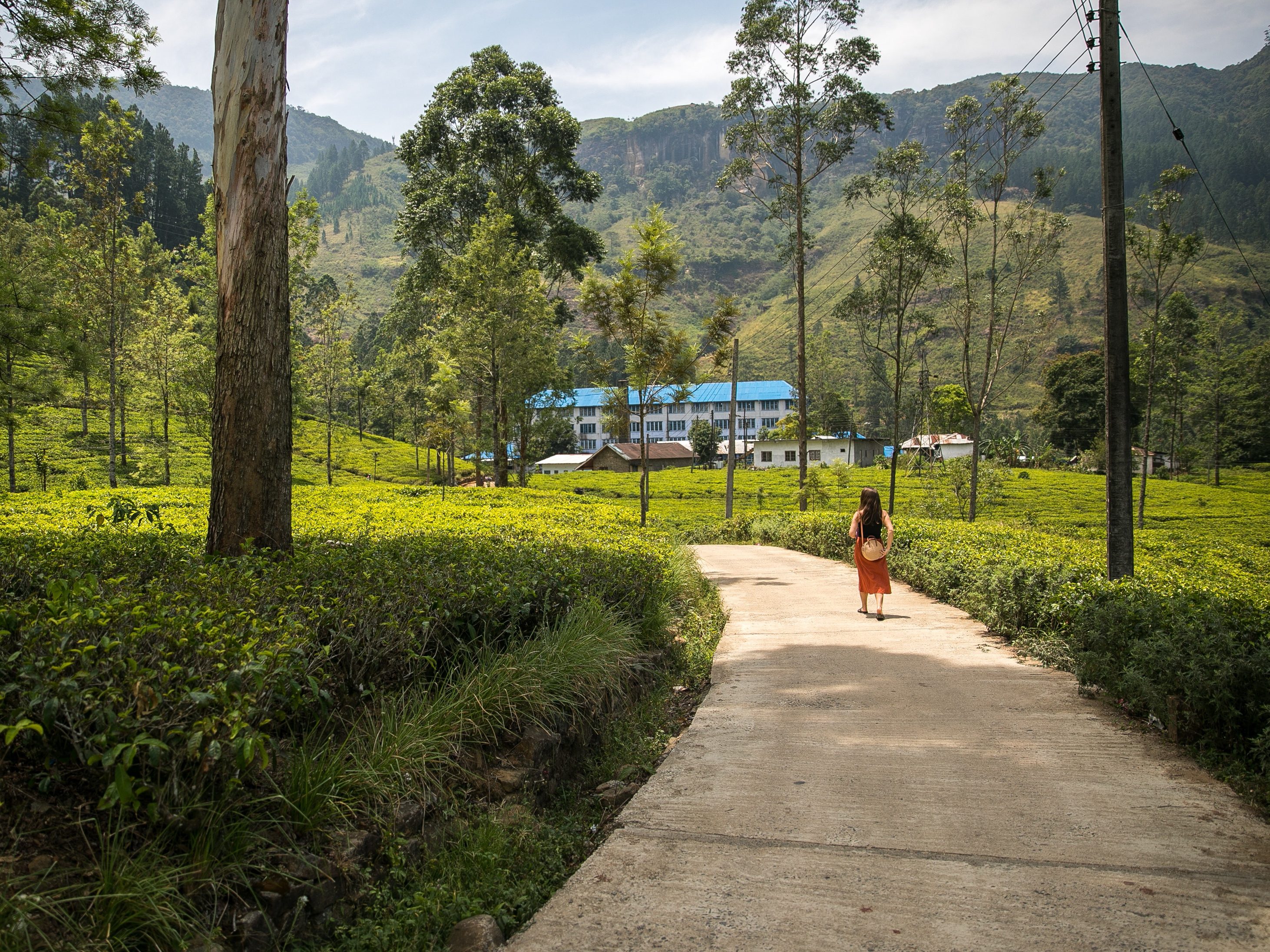 theefabriek nuwara eliya sri lanka