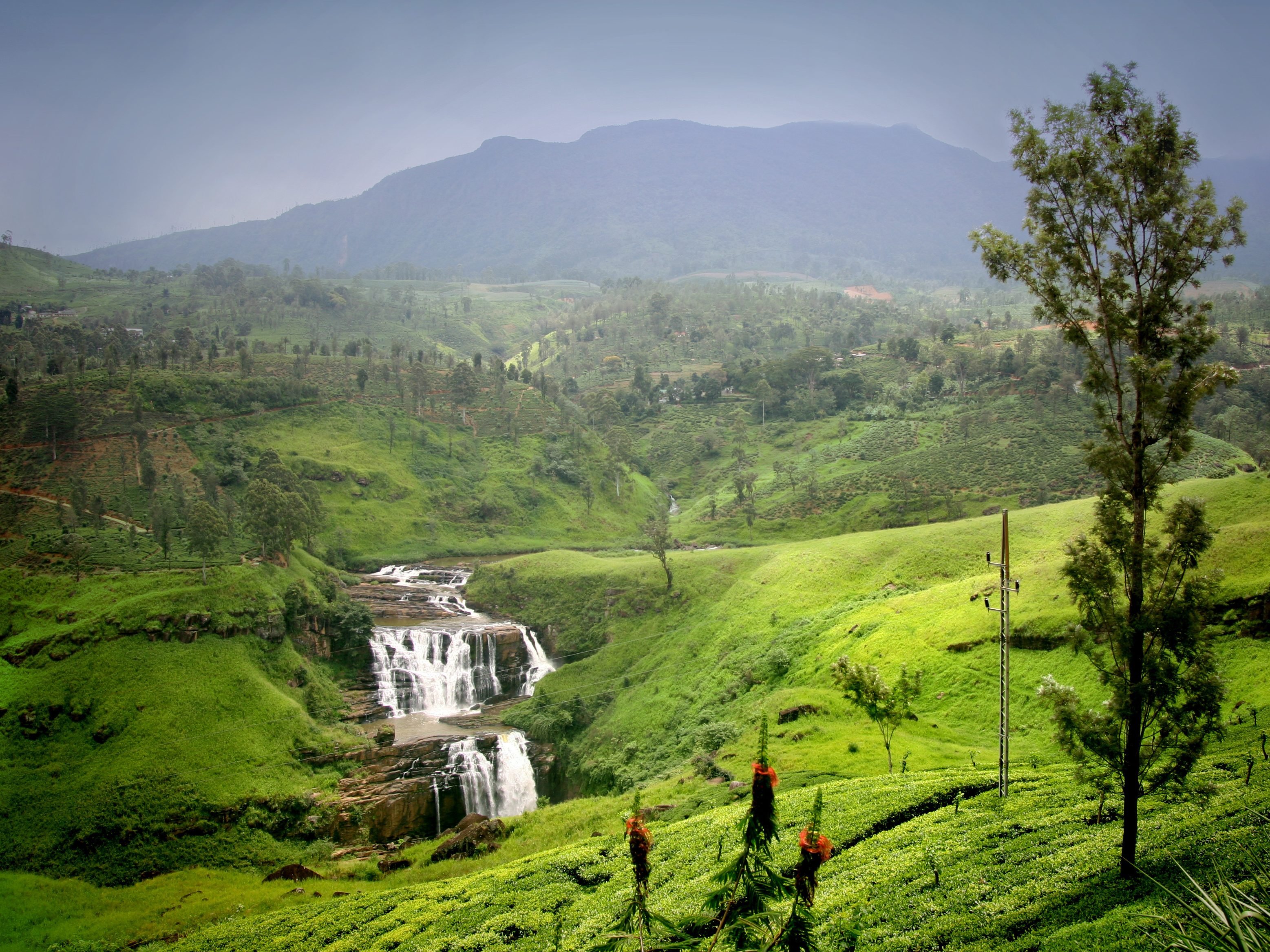 nuwara eliya sri lanka