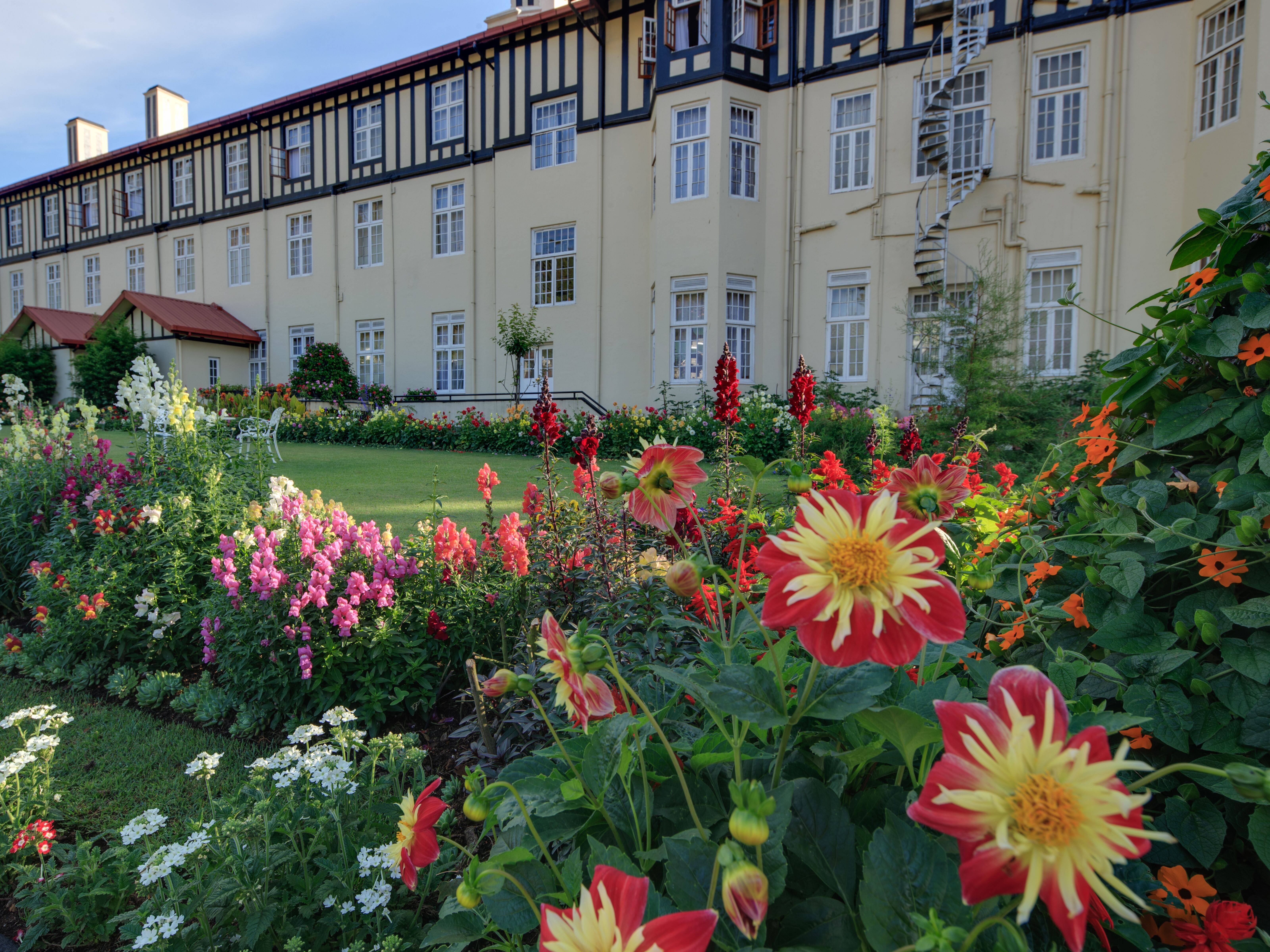 tuin in nuwara eliya sri lanka