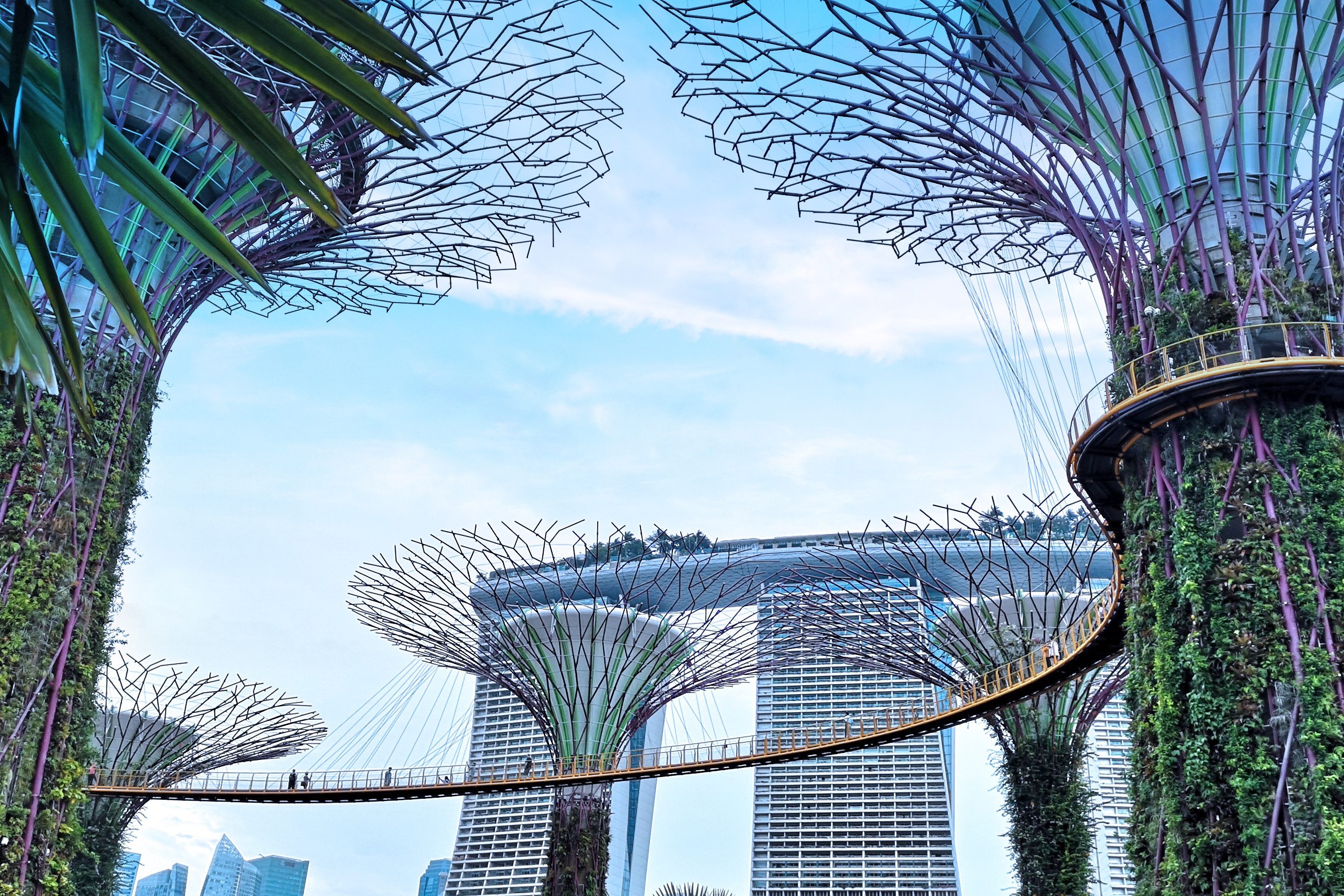 Gardens by the Bay Singapore