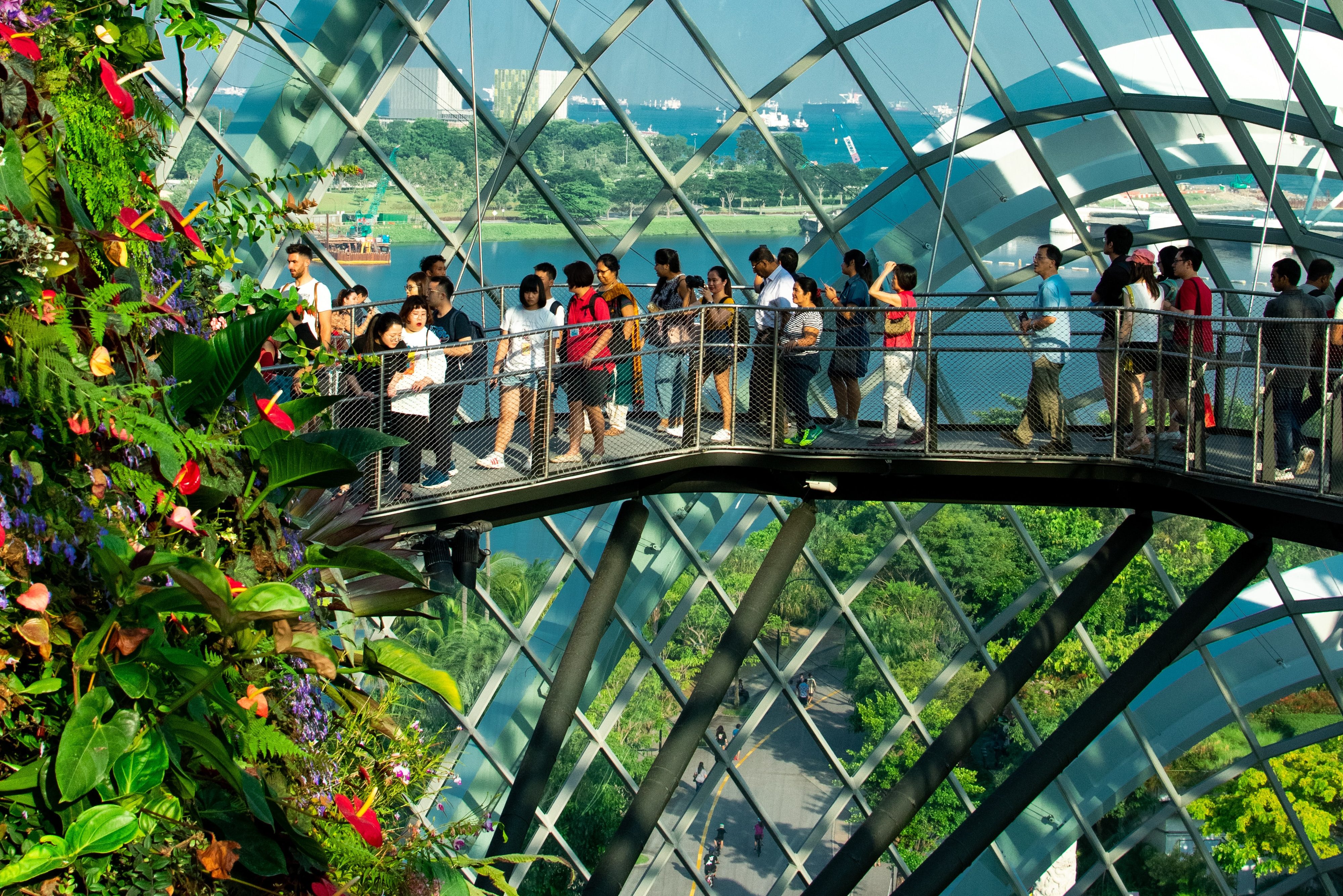 Singapore Gardens by the Bay