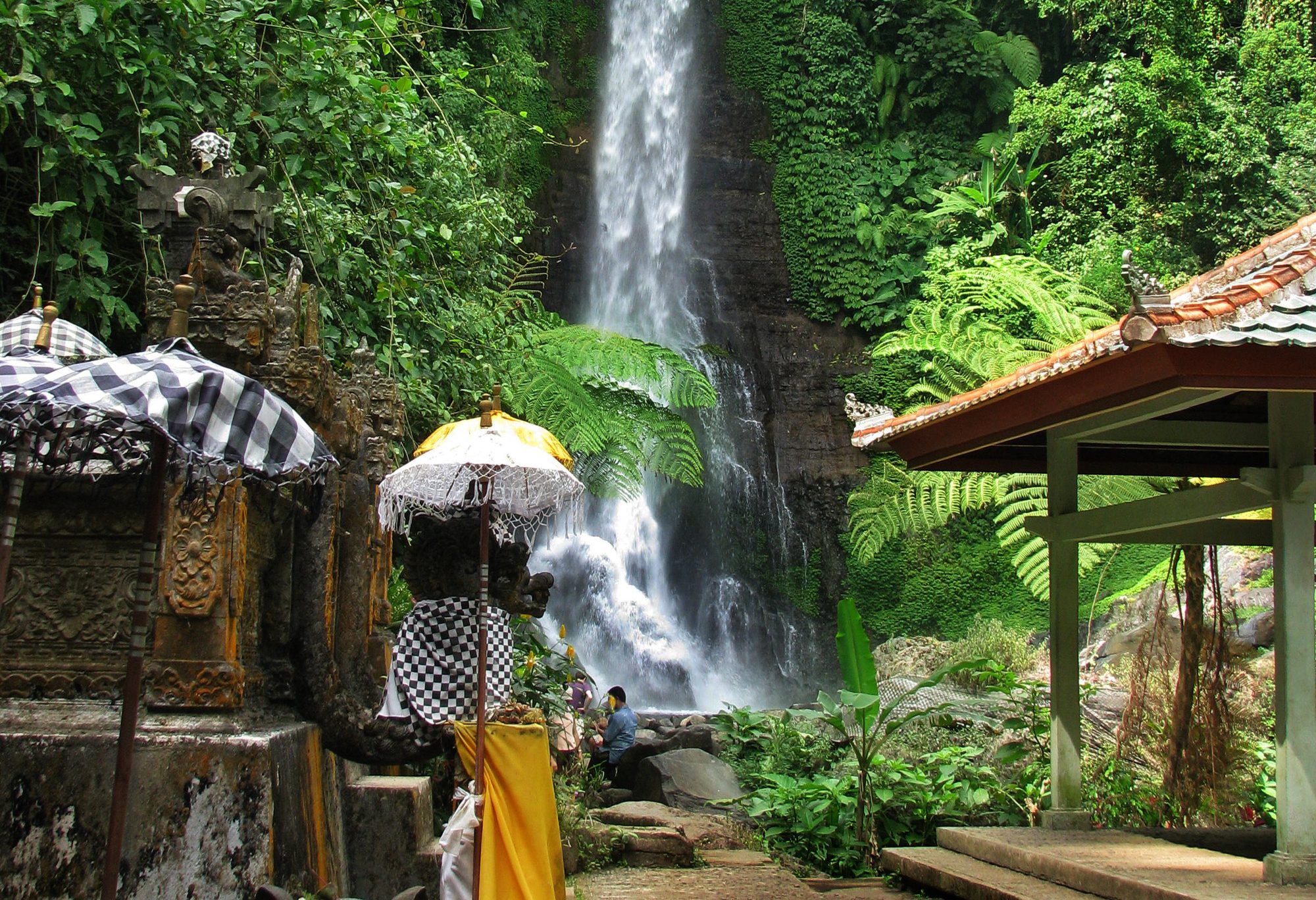 Git Git waterval Lovina Bali