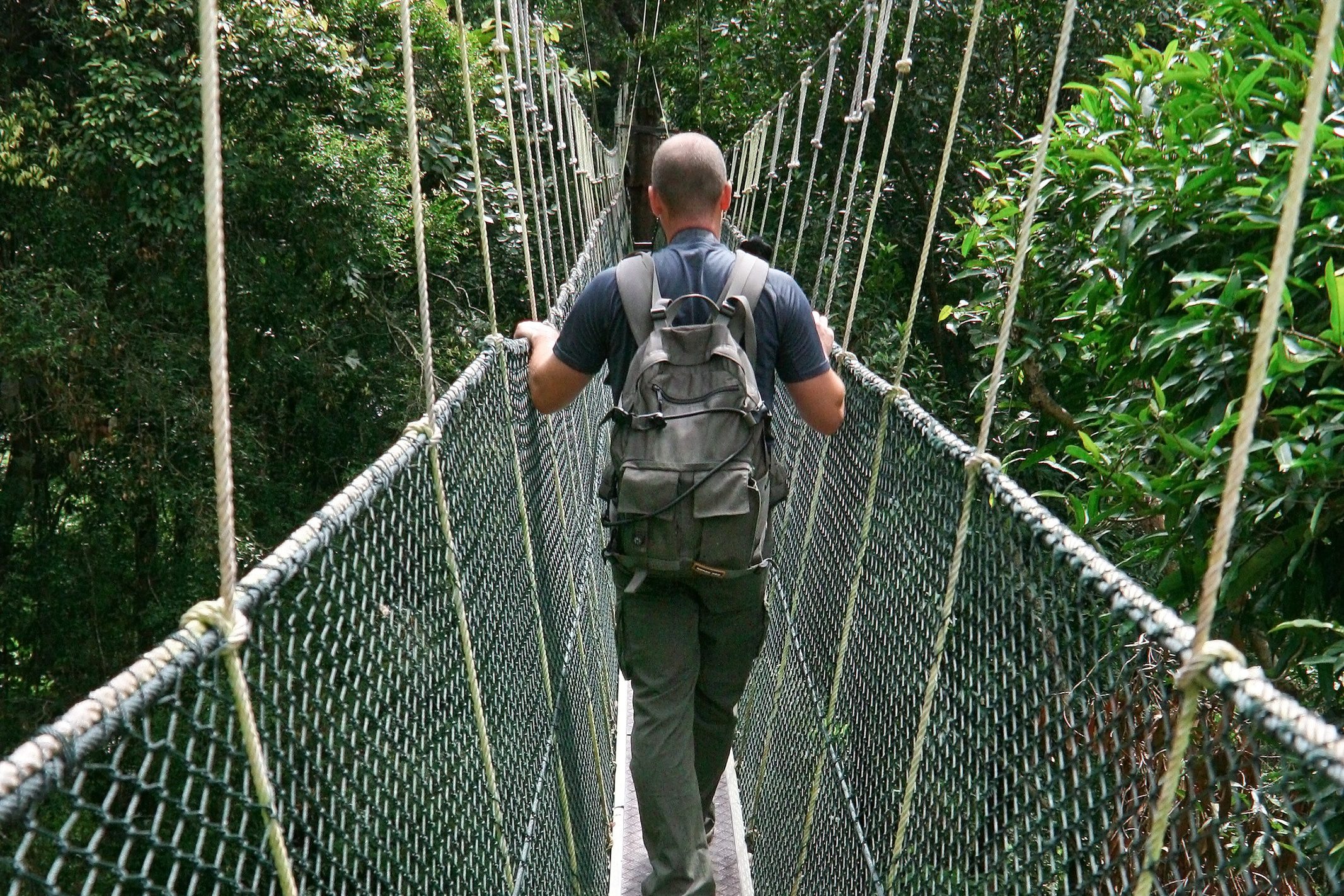 Taman Negara National Park Maleisie