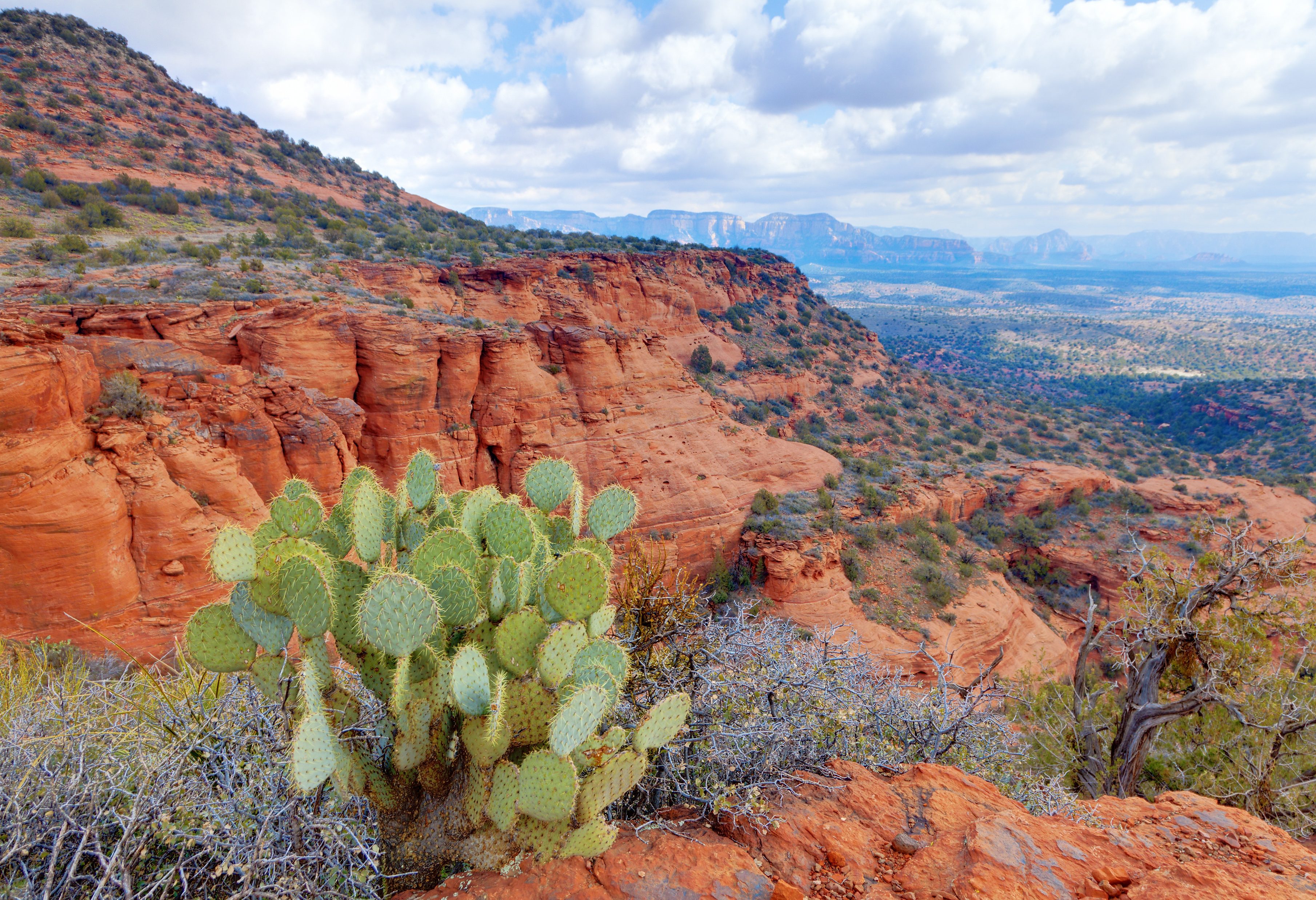 Red Rock Park in Sedona