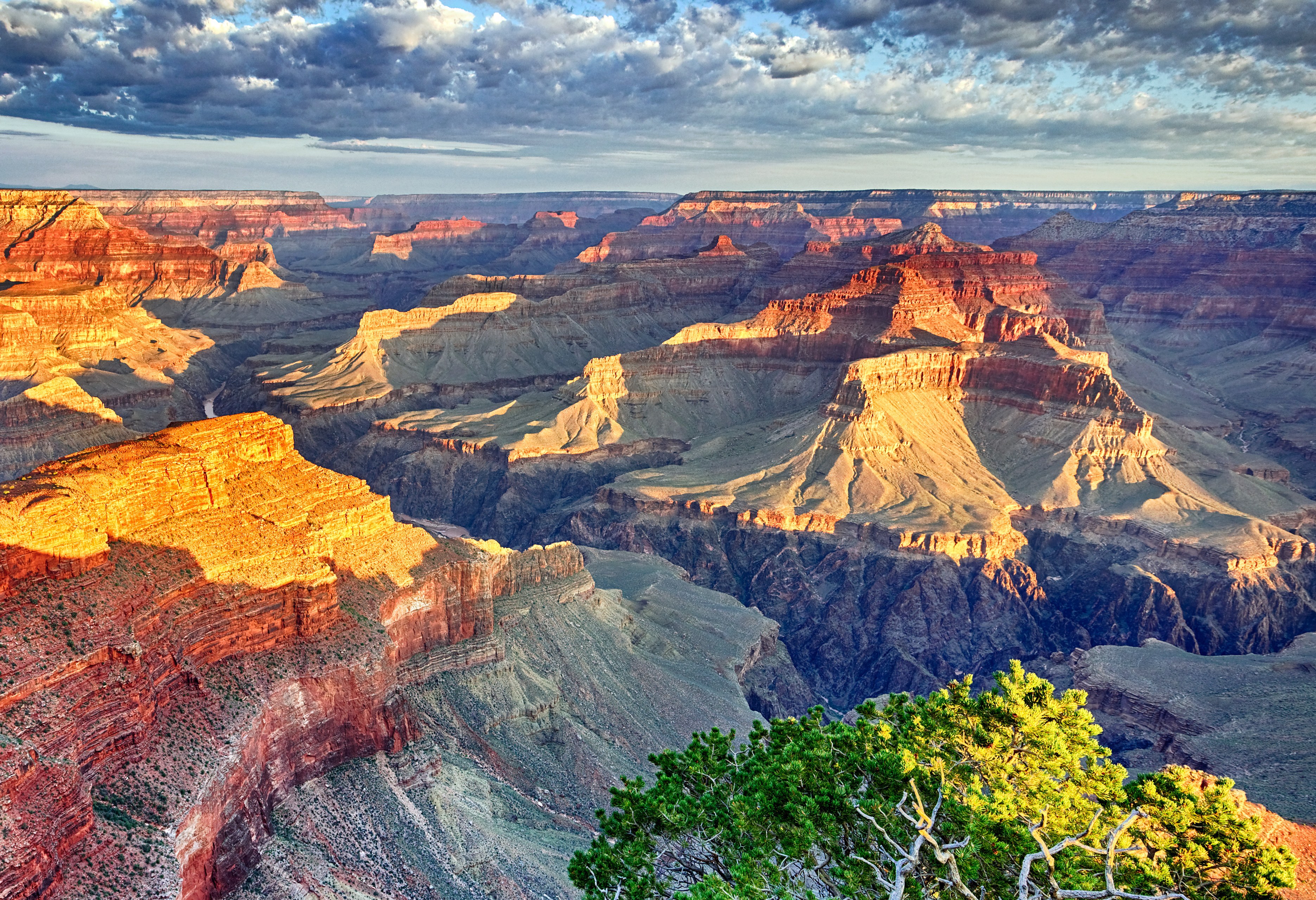 Panorama over de Grand Canyon in Arizona