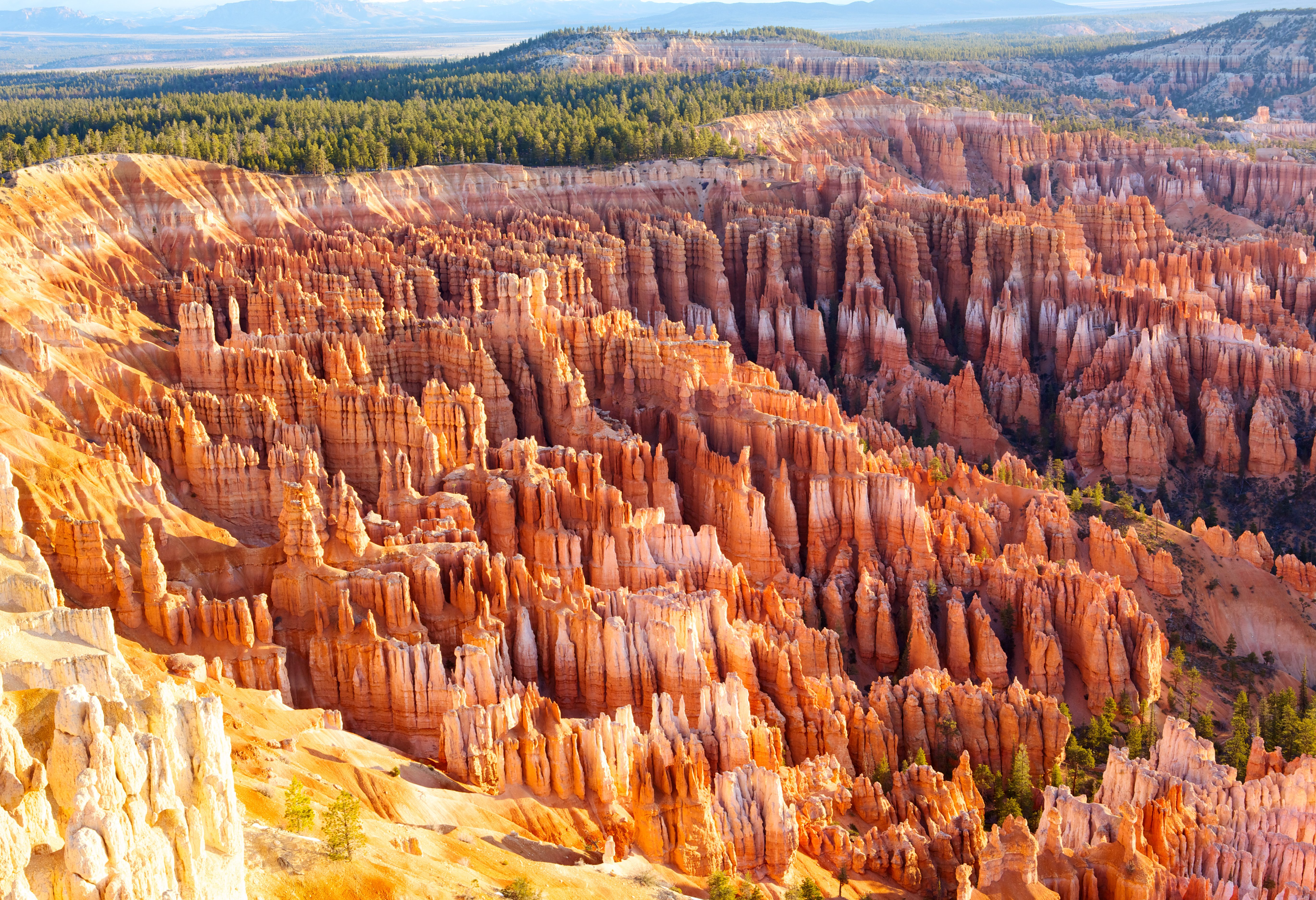 Bryce canyon in Utah Amerika