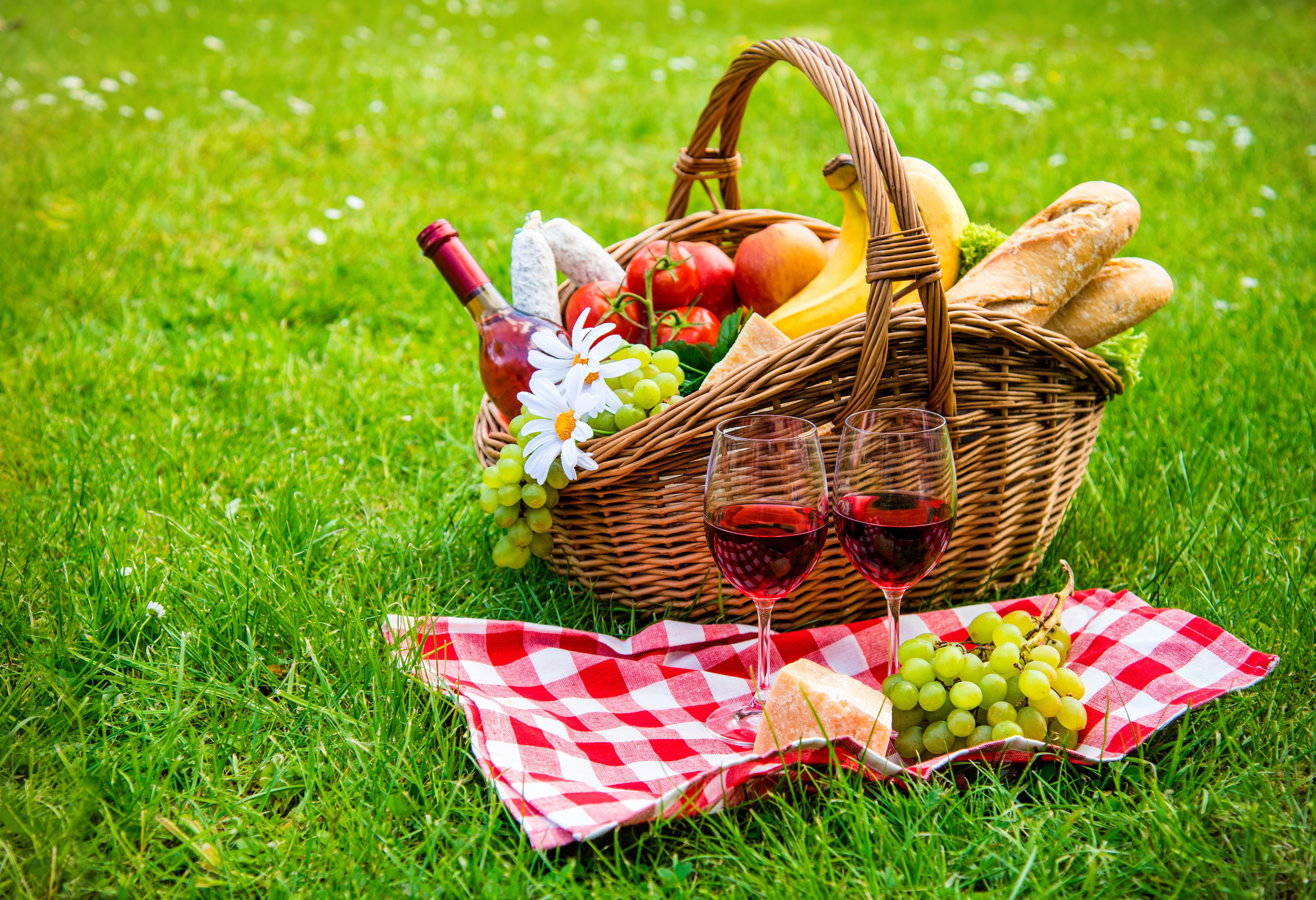Picknick in Zuid-Afrika