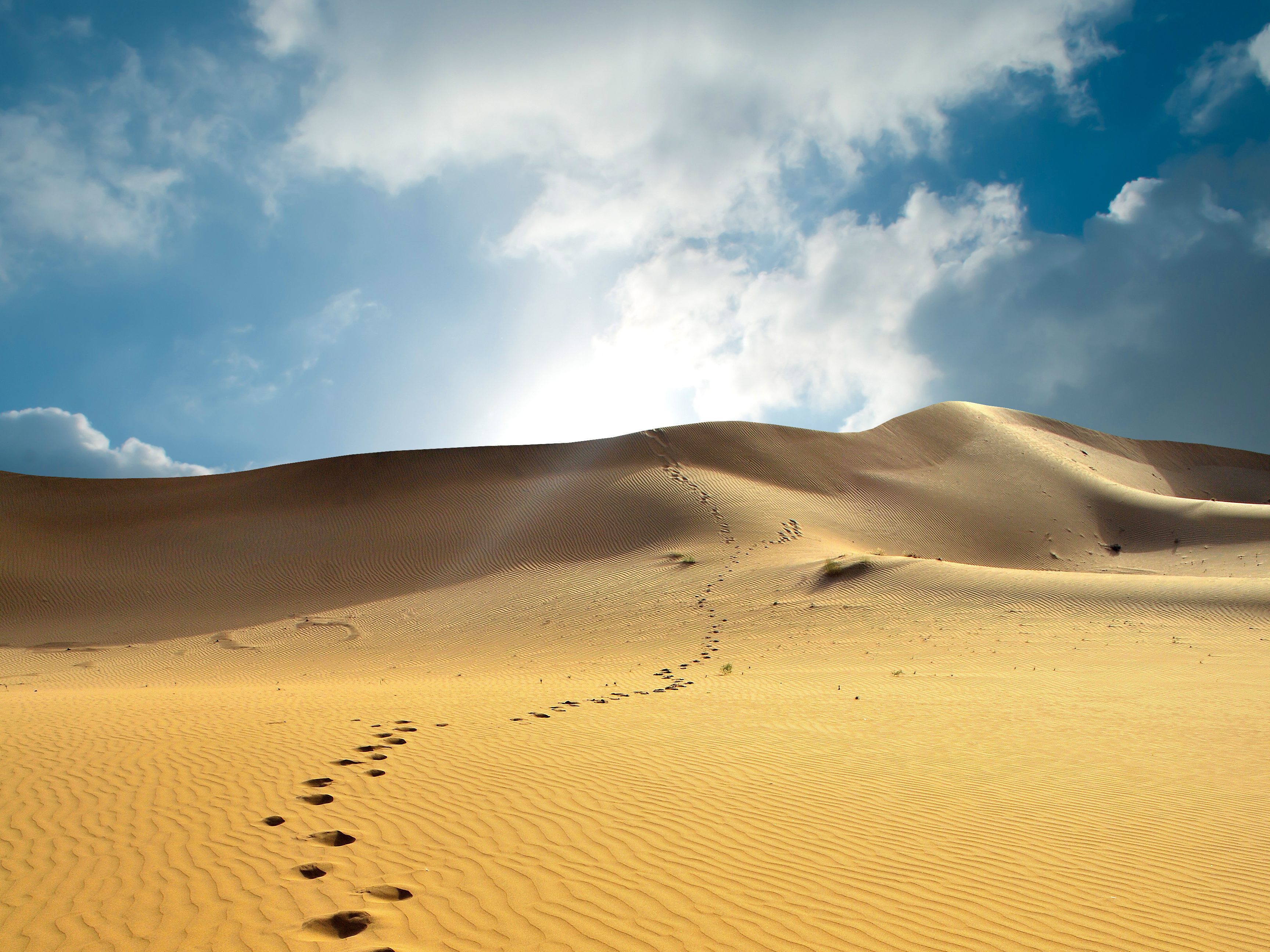 Woestijnlandschap in Jaisalmer