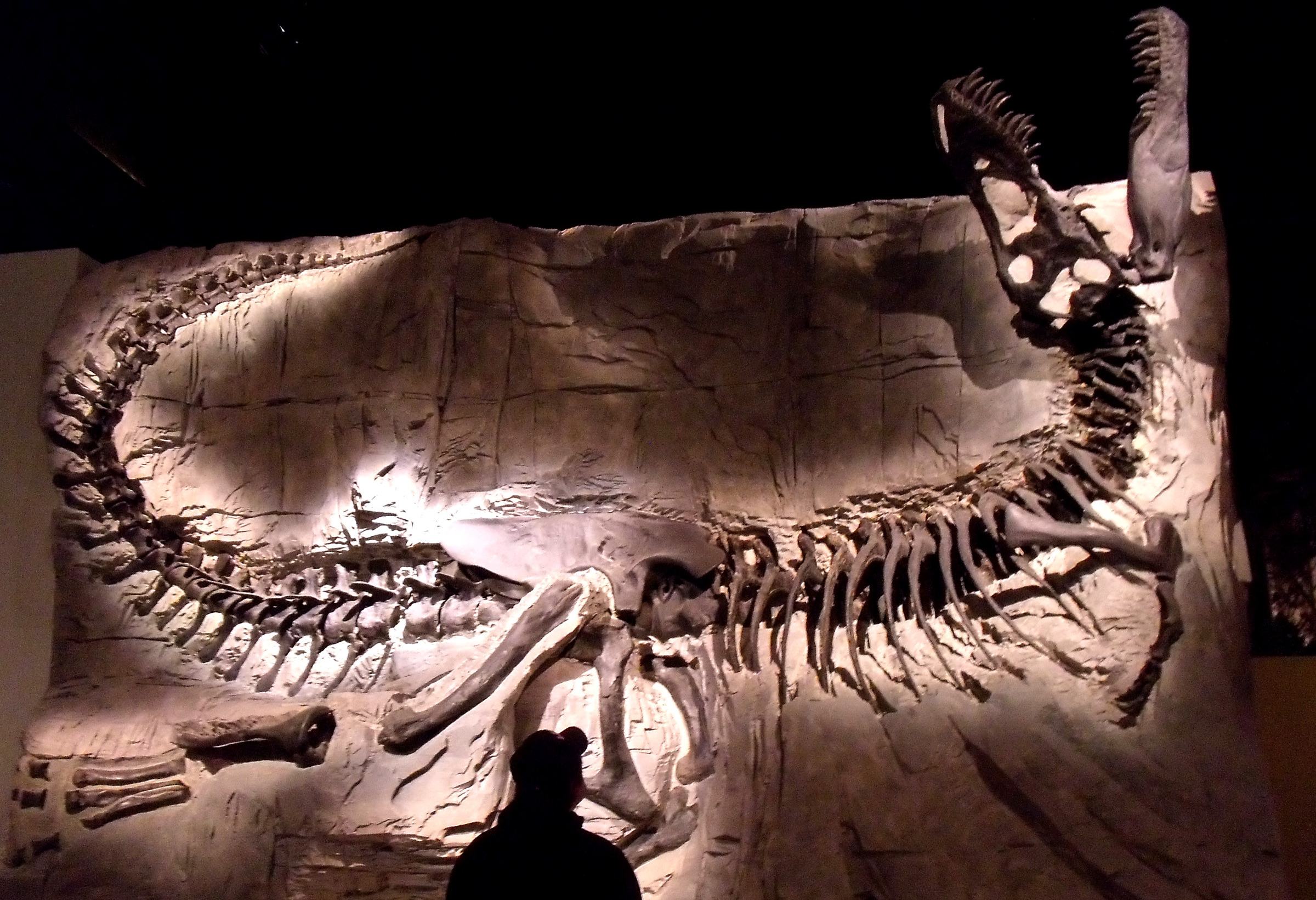 Royal Tyrrel museum Drumheller Canada