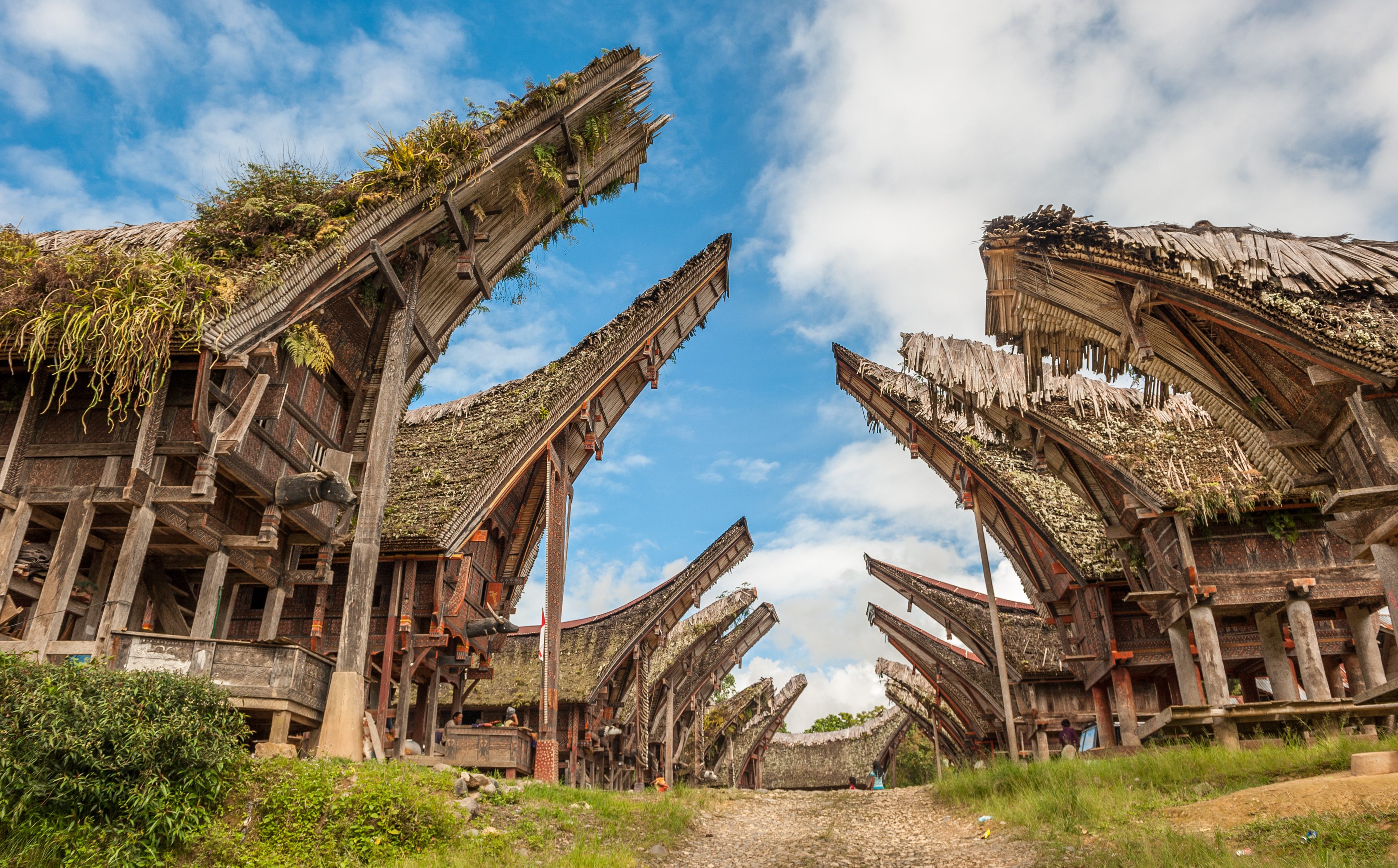 Toraja Sulawesi