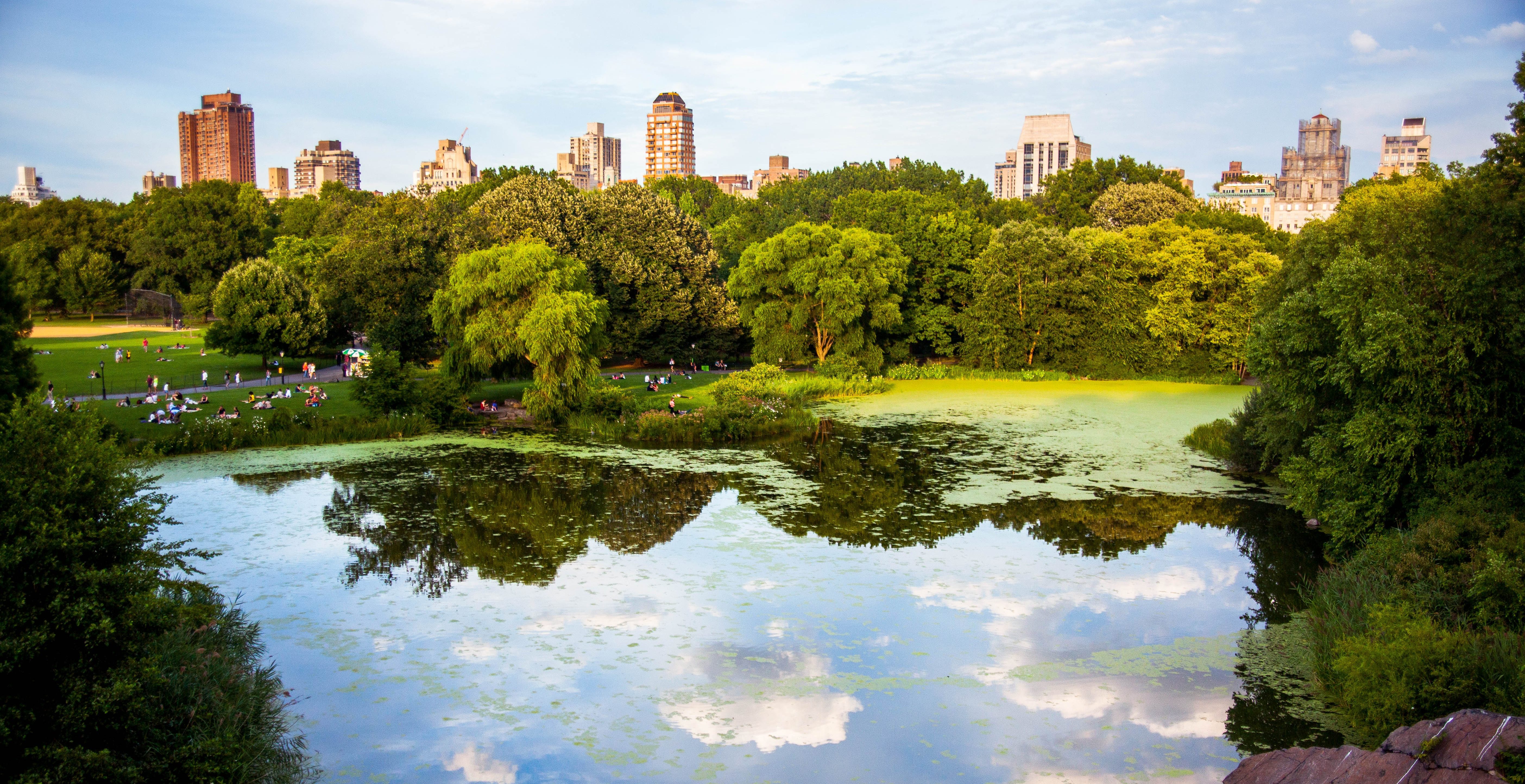 Central Park in New York