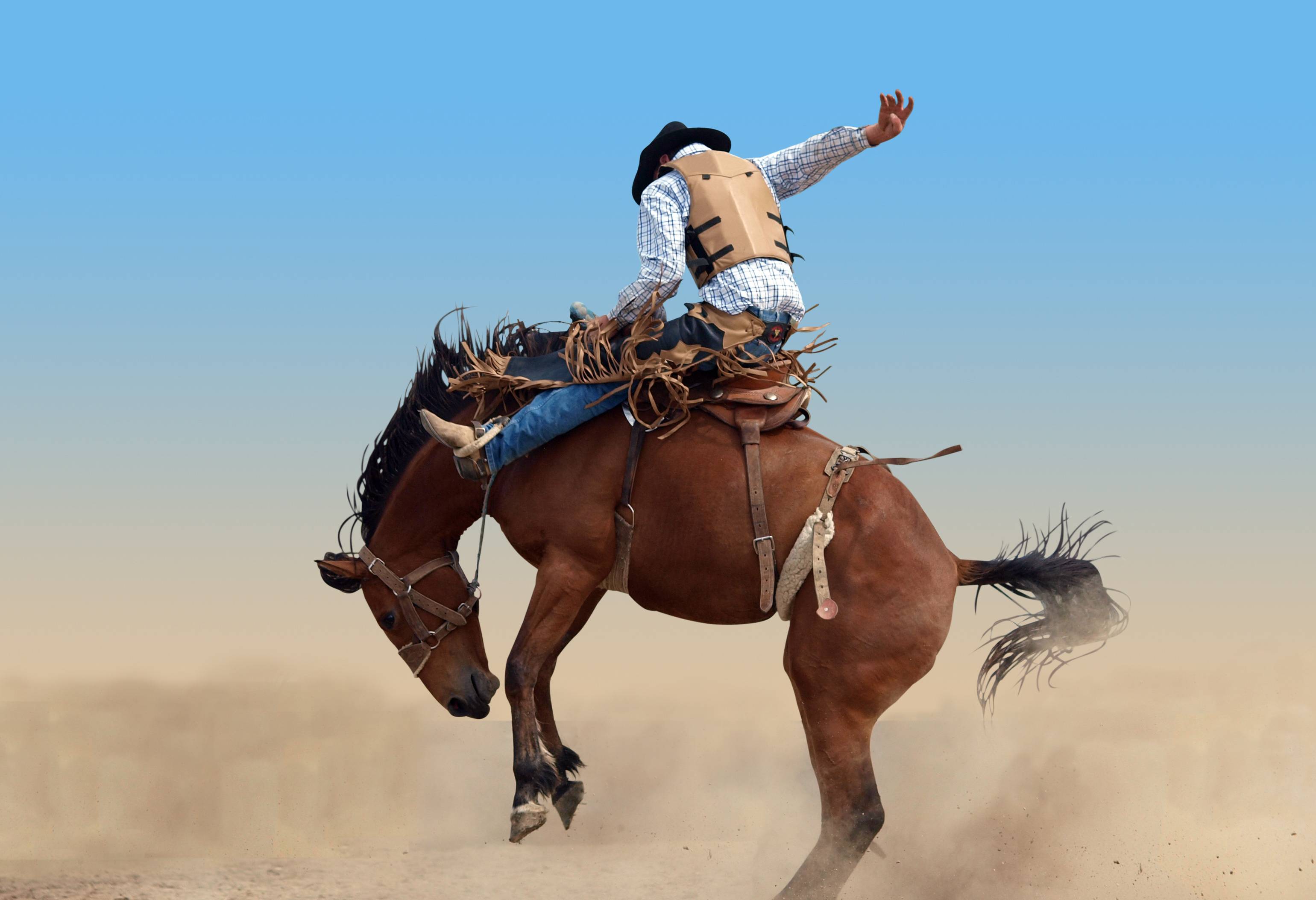 Rodeo in Cody in Amerika