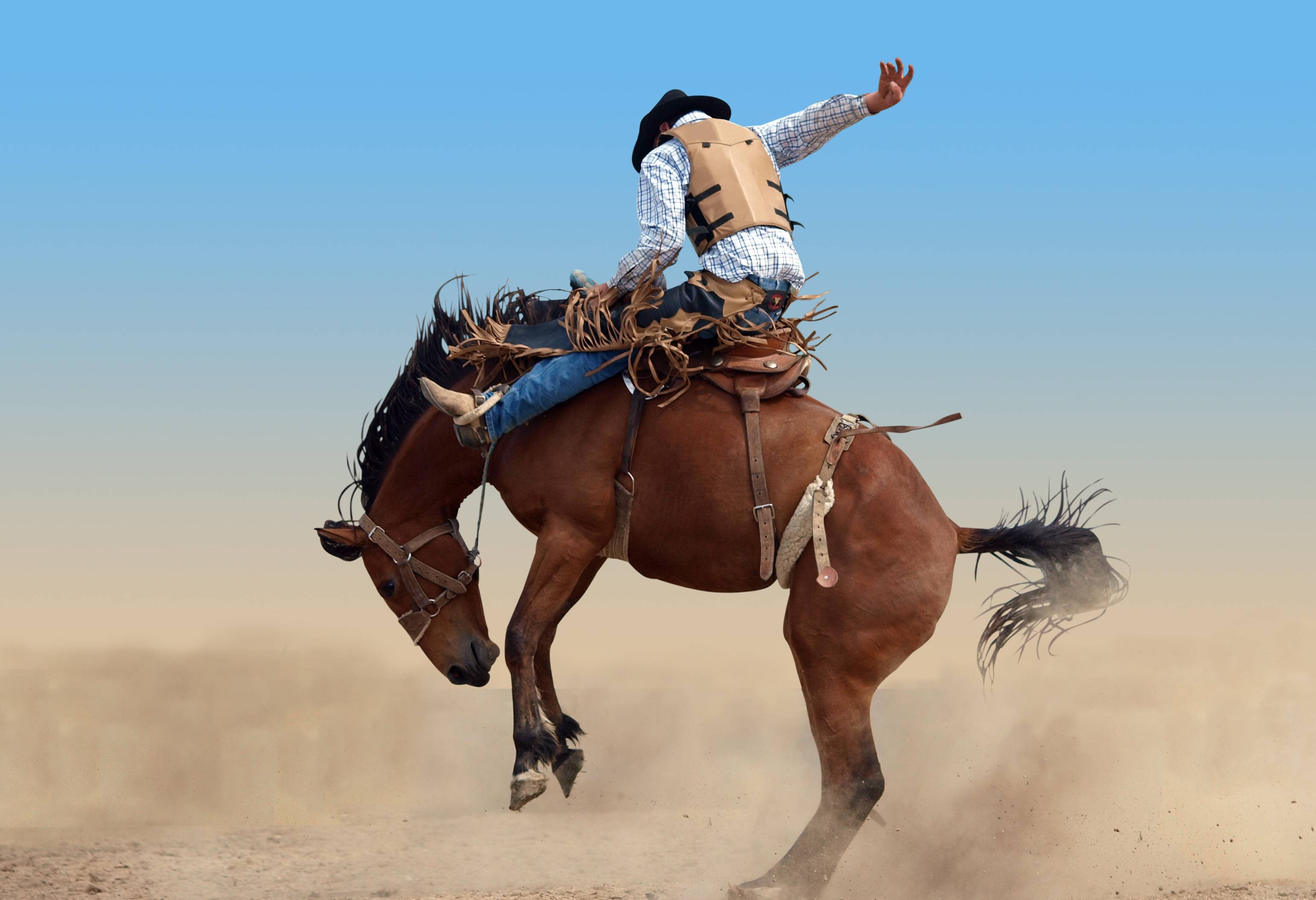 Rodeo in Cody in Amerika