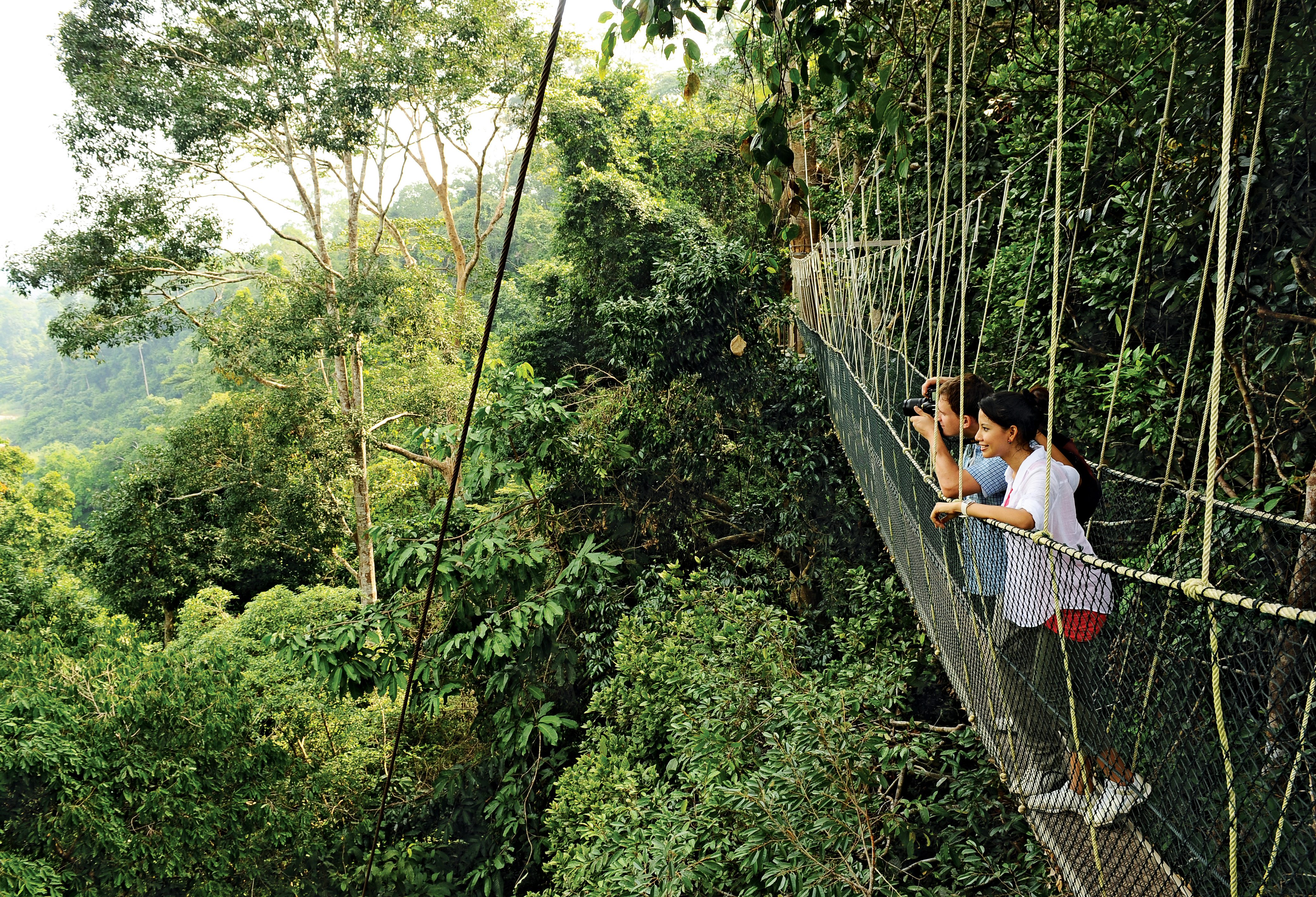 Taman Negara Maleisië